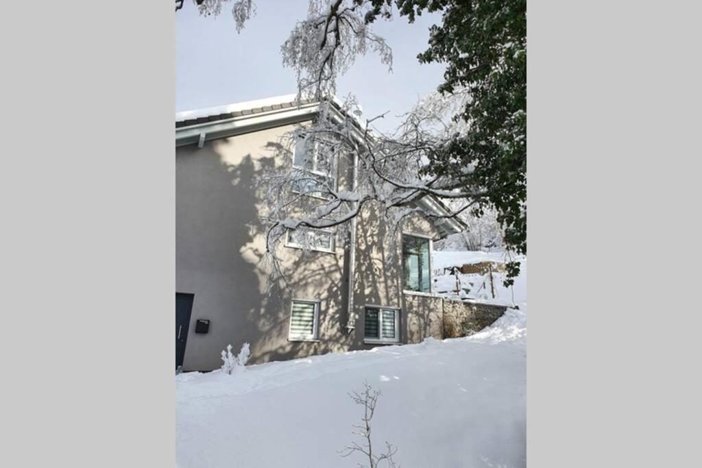 Ferienwohnung Am Musbach in Badenweiler-Sehringen Exterior foto